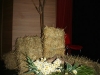 folklora_1516_001