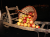 folklora_1617_01