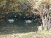 pohodnistvo_1516_32