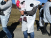 pust_16_17_15