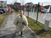 pust_t_18_19_088