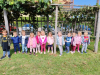 IMG_20240919_113137
