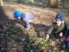 rdv_ori_2_20_21_003 rdv_ori_2_20_21_003