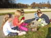 rdv_rdi_1_1516_44