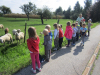 rdv_rdi_1_1617_17