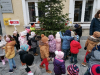 IMG_20231205_112335
