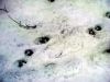 ruv_moi_3_17_18_023