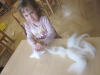 image003