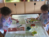 ruv_vii_2_1617_14 ruv_vii_2_1617_14