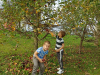 IMG_20241014_115844