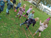 IMG_20241016_112335