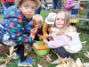 IMG_20241016_155001