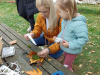 IMG_20241016_165457