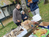 IMG_20241016_170831
