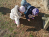 IMG_20250131_110312
