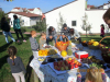 zev_bii_1_17_18_011