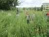 zev_bei_5_17_18_013