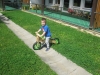 zev_pi2_3_1516_20
