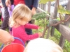 ZV_Be_1_07 ZV_Be_1_07